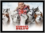 psy, Eight Below, Paul Walker